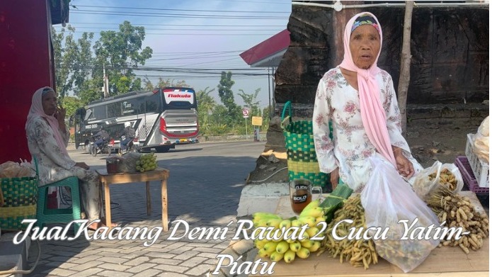 Di Ujung Senja Nenek Tak Menyerah Demi 2 Yatim - 21435