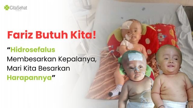 Fariz Butuh Bantuan - 20331
