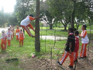 Seragam Pramuka Untuk Siswa SD Juara - 496