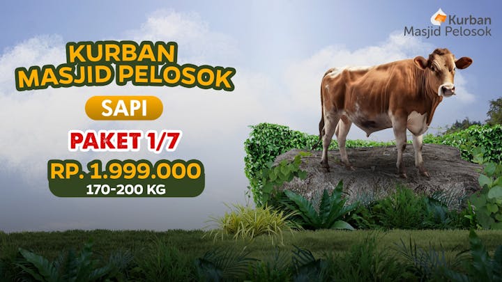 Kurban Sepertujuh Sapi - 20319
