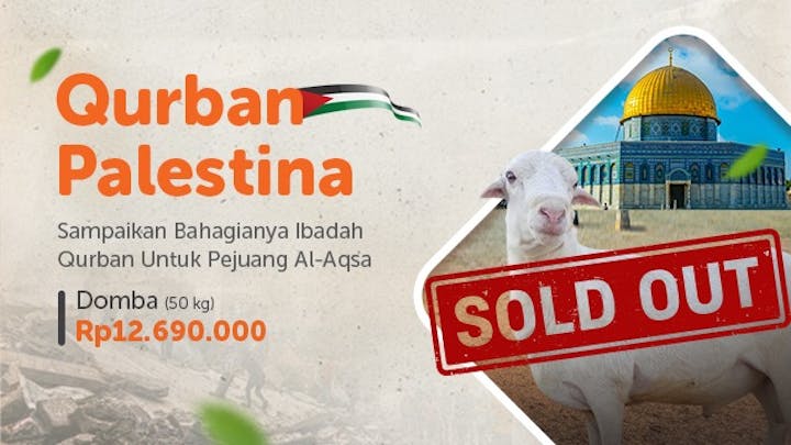 Qurban Domba Di Bumi Al-Quds - 20304