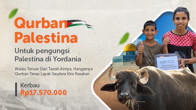 Qurban Kerbau Untuk Pengungsi Palestina Di Yordania