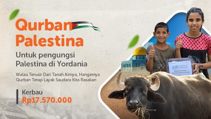 Qurban Kerbau Untuk Pengungsi Palestina Di Yordania - 20352