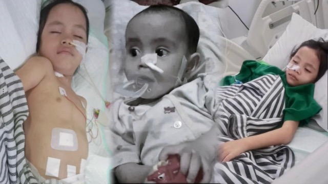 Darurat Operasi Jantung! Nyawa Khalifah Terancam - 22916