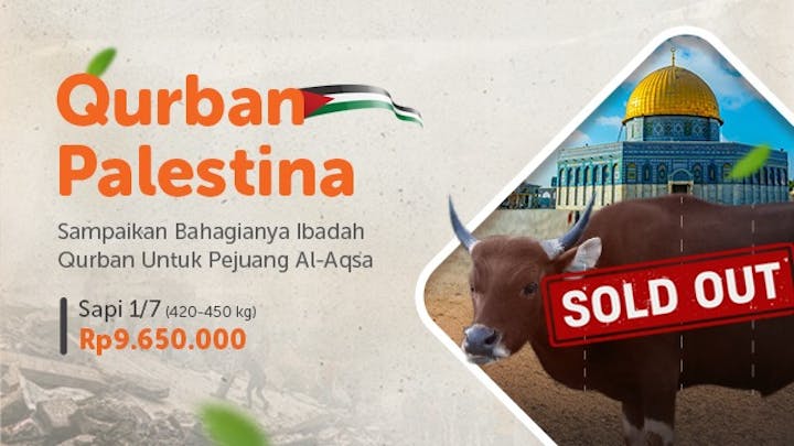 Qurban Sapi Patungan Di Bumi Al-Quds - 20306