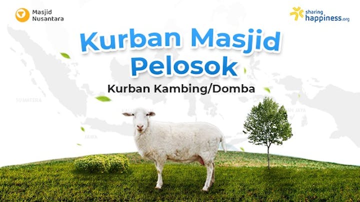 Kurban Masjid Pelosok Kambing - 16899
