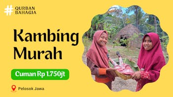 Qurbanmu Menjadi Kendaraan di Akhirat, Kambing MURAH