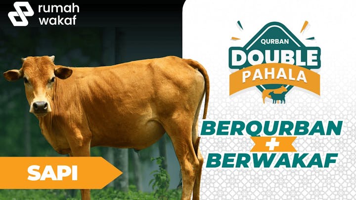 Qurban Sapi Double Pahala - 7679