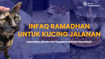 Infaq Ramadhan Untuk Kucing Jalanan