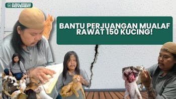 Bantu Perjuangan Mualaf Rawat 150 Kucing!