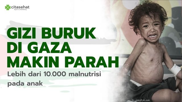 Bantuan Rasa Cinta Ke Palestina - 20068