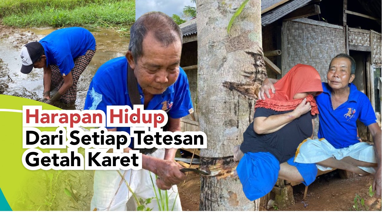 Harapan Hidup Dari Setiap Tetesan Getah Karet - 21729