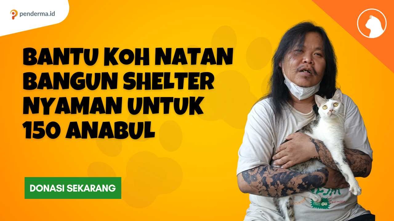 Bantu Koh Natan Bangun Shelter Nyaman untuk 150 Anabul - 22125