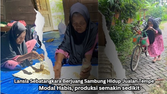 Beri Modal Usaha Lansia Sebatangkara Jual Tempe