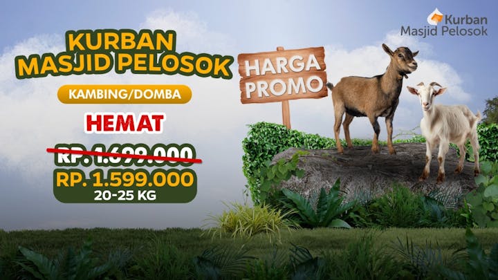 Kurban KambingDomba Hemat - 20322