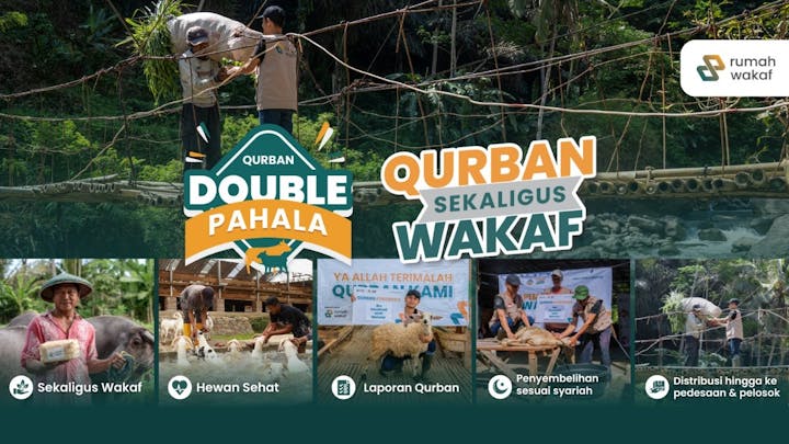 QURBAN DOUBLE PAHALA KAMBING - 14791