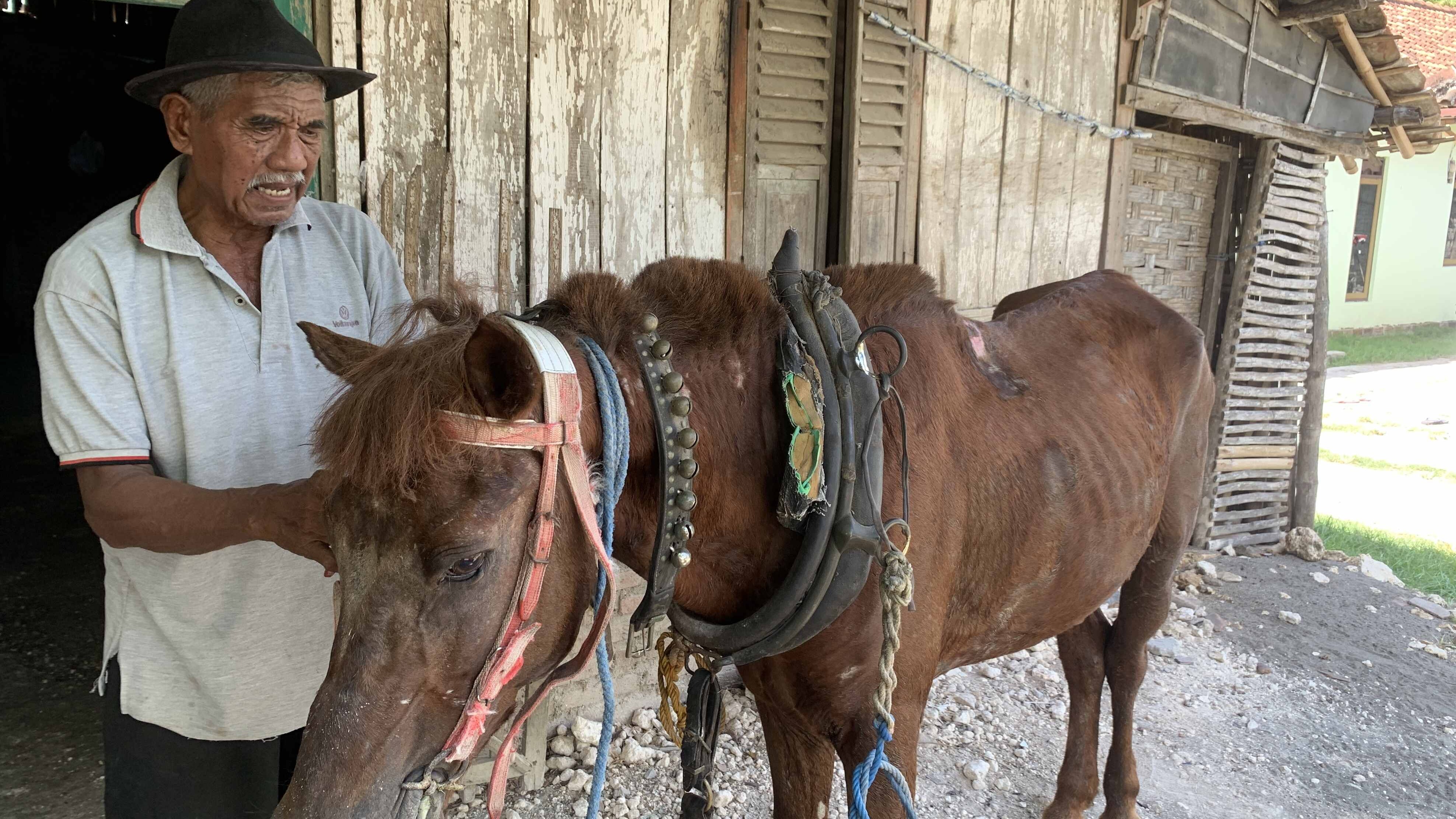 Bantu Kakek Delman dan Kudanya Bisa Makan