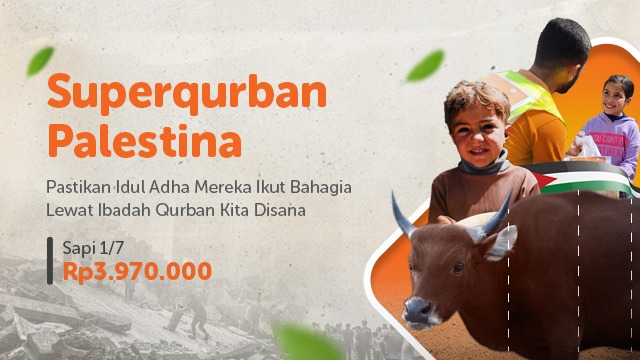 Qurban Sapi Patungan Di Tanah Gaza