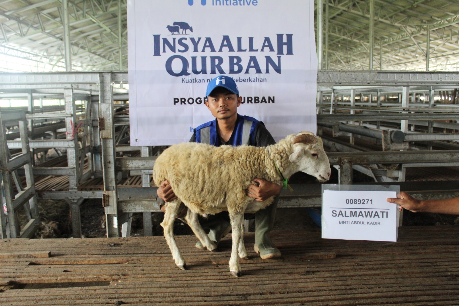 hewan kambing Human Initiative